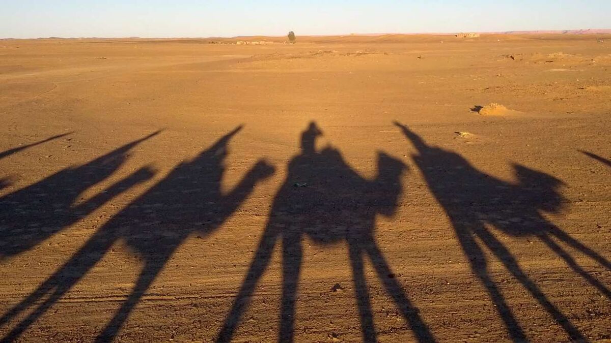 Nordhagen riding camels in Morocco