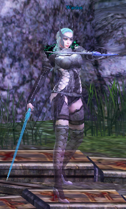 Warden