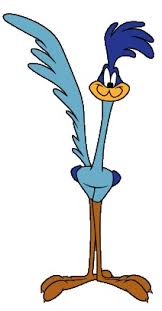 Road Runner(1)