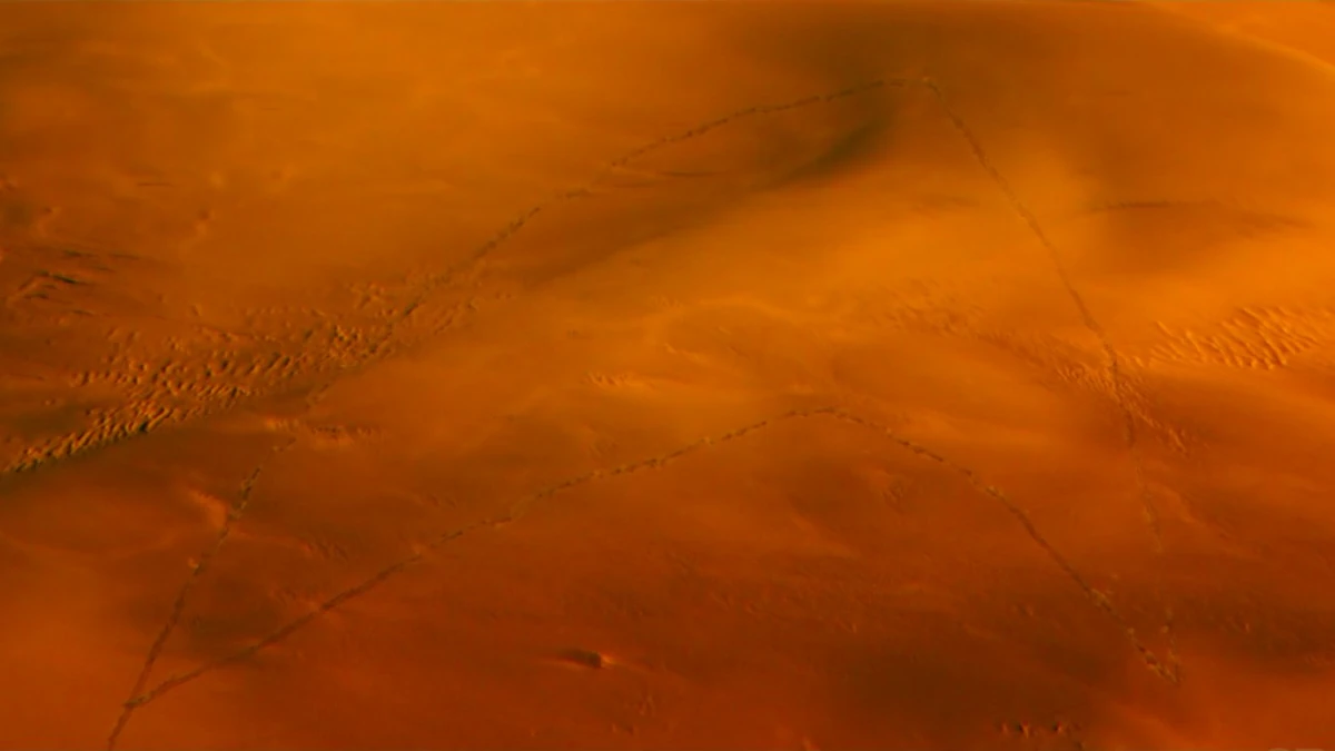 Star Trek Discovery Starfleet Insignia