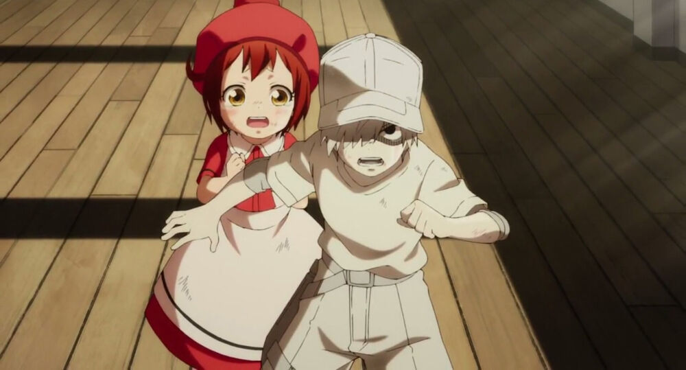 best anime ships of 2018 White Blood Cell abd Red Blood Cell from Cells at Work!