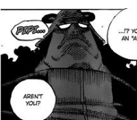 Episode 508 One Piece Wiki Fandom