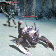 Scorlug plus