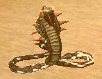 Black Snake