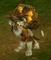 Elder Troglo