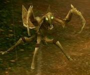 Mantis