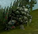 Crag Turtle
