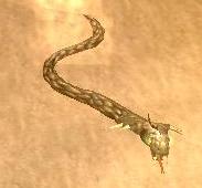 Giant Snake