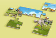 Puzzle