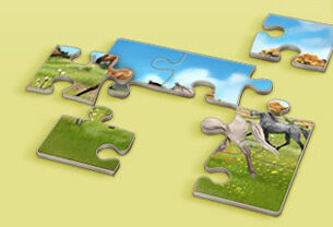 Puzzle