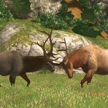 Cabelas Wiki Fandom