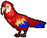 Parrot