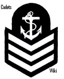 Wiki