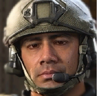 Mil Sim Call Of Duty Wiki Fandom