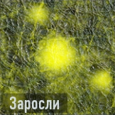 Заросли бо3 иконка