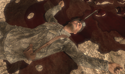 Shepherddead