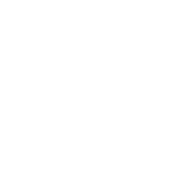 Precision Weapon Perk icon WWII