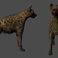 Hyena Call Of Duty Wiki Fandom