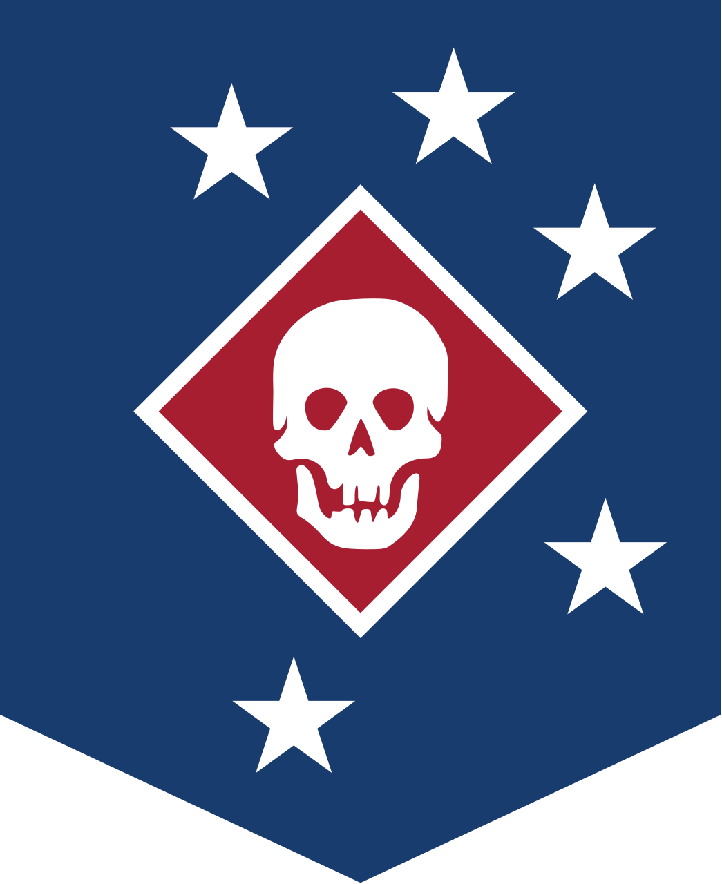 Marine Raiders Logo