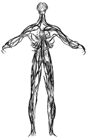 307?cb=20130605140433