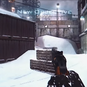 357 Magnum Call Of Duty Wiki Fandom