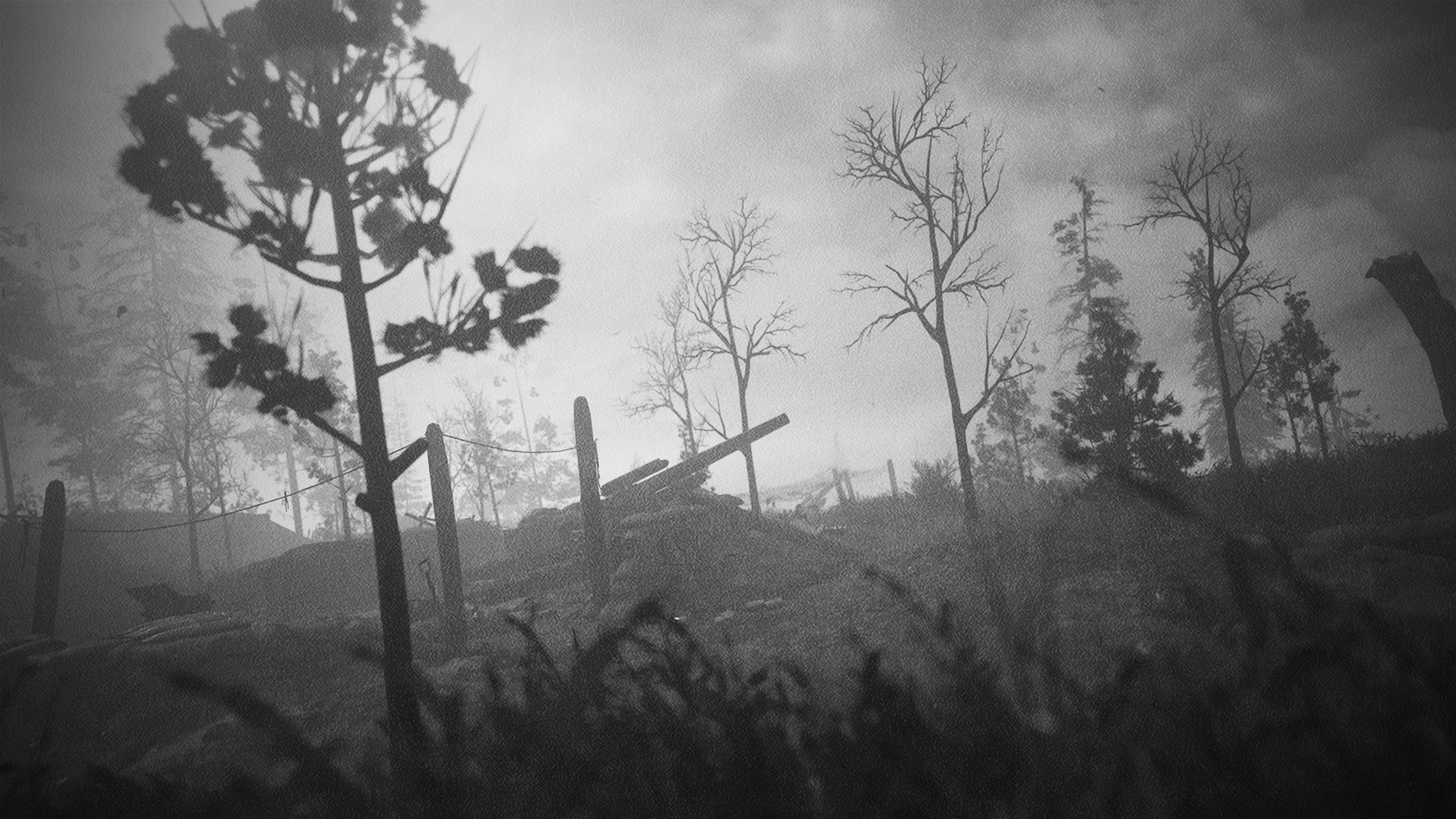 Hill 493