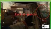 Moon Pack-a-Punch