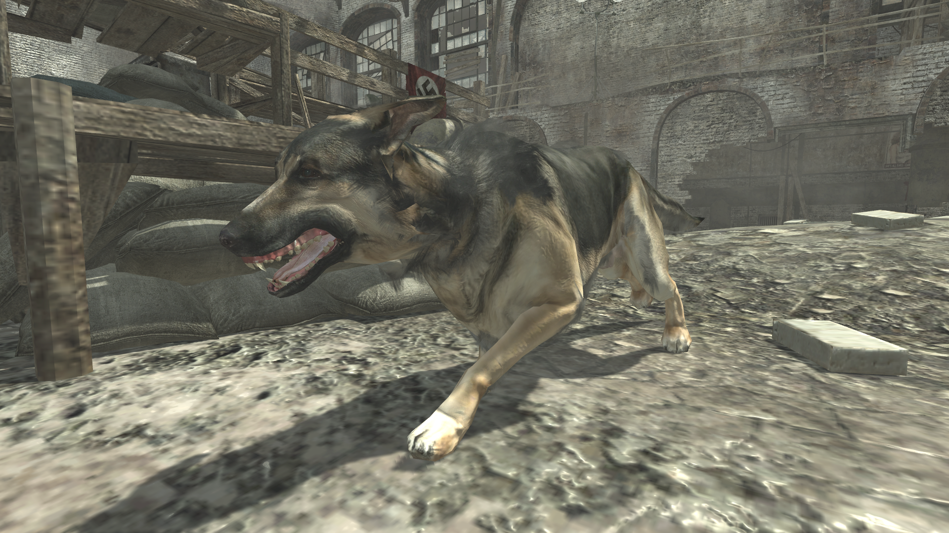 Attack Dogs (killstreak) | Call of Duty Wiki | FANDOM ... - 