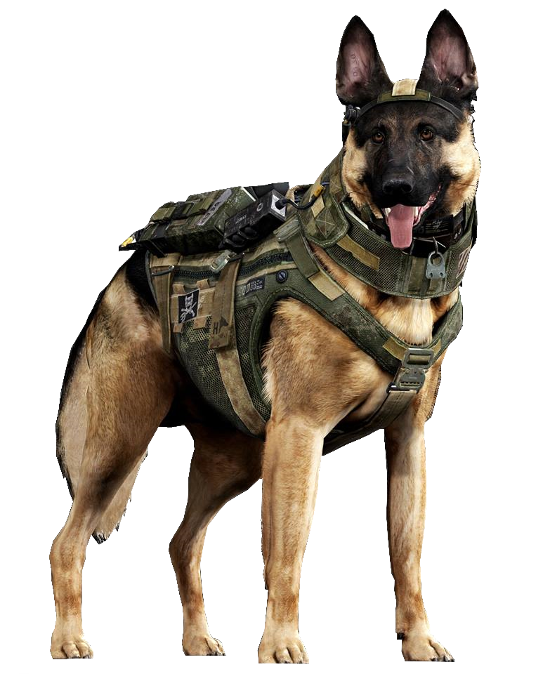 Riley (Ghosts) | Call of Duty Wiki | FANDOM powered by Wikia