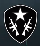 Squad Assault Insignia CoDG