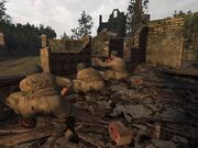 Call of Duty-US Paratroopers Ste Mere Eglise Battle