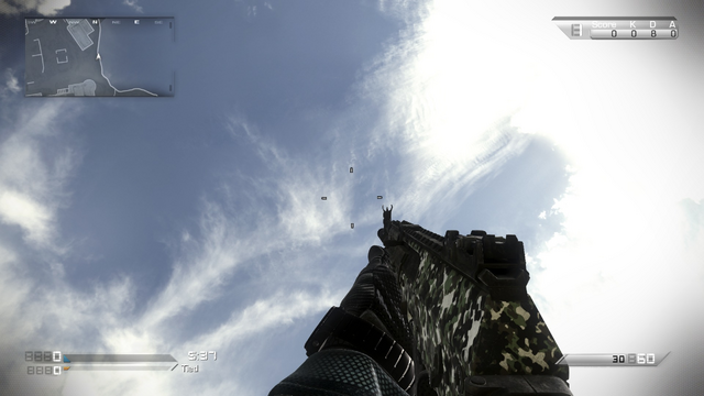 File:AK-12 Woodland CoDG.png