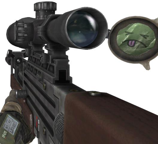 File:WA2000 MW2.png
