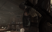 Molly MW3.