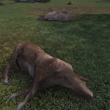 Cow | Call of Duty Wiki | Fandom