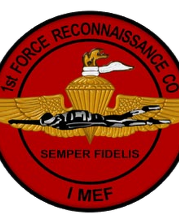1st Force Recon Call Of Duty Wiki Fandom