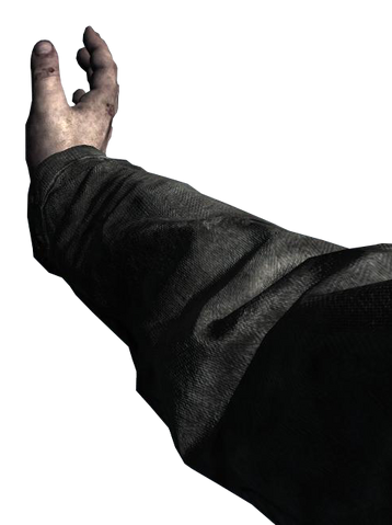 File:BRAAAINS... Melee WaW.png
