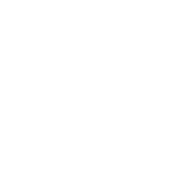 Headhunter Weapon Perk icon WWII