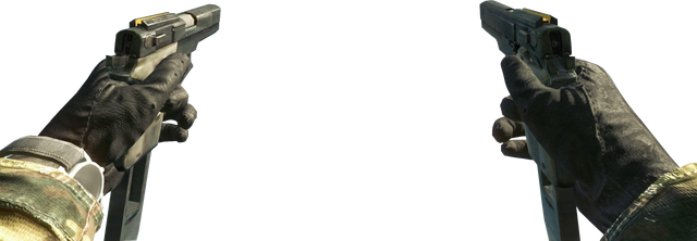 File:ASP Dual Wield Reload BO.png