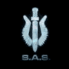 SAS insignia