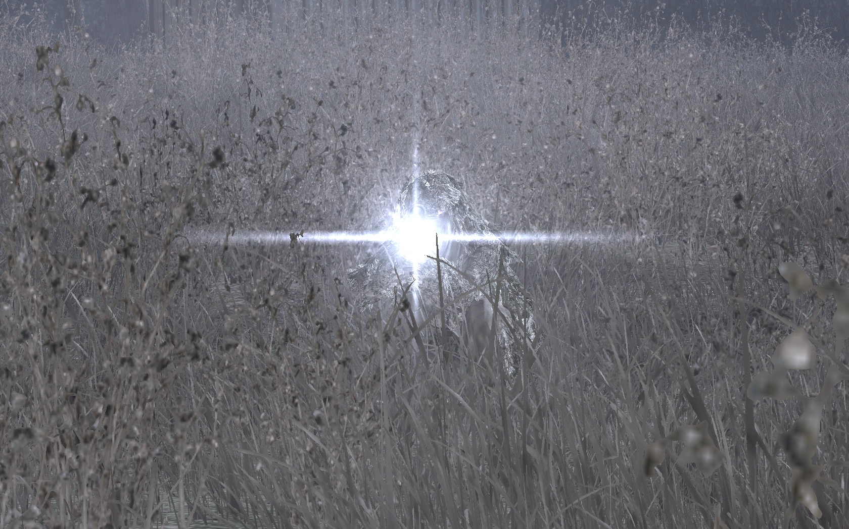 Image Scope Glint Hidden MW2.png Call of Duty Wiki FANDOM powered