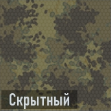 Скрытный иконка