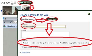 Example FileImage