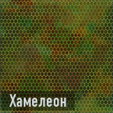 Хамелеон иконка
