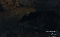 Dog Fallen Angel BOII