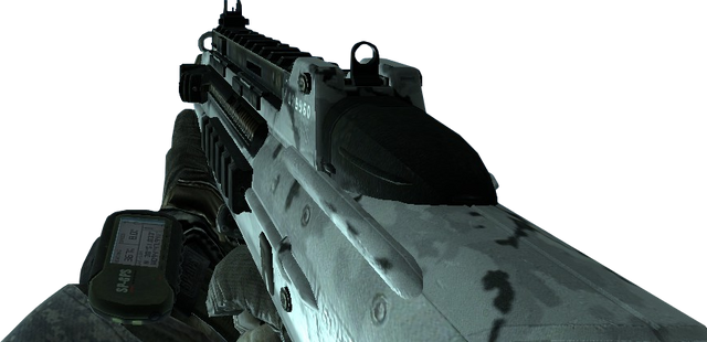 File:F2000 Arctic MW2.png