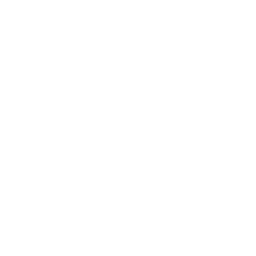 Efficient Weapon Perk icon WWII