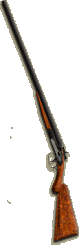 Shotgun