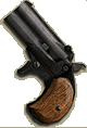 Ladies gun