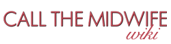 Wiki-wordmark
